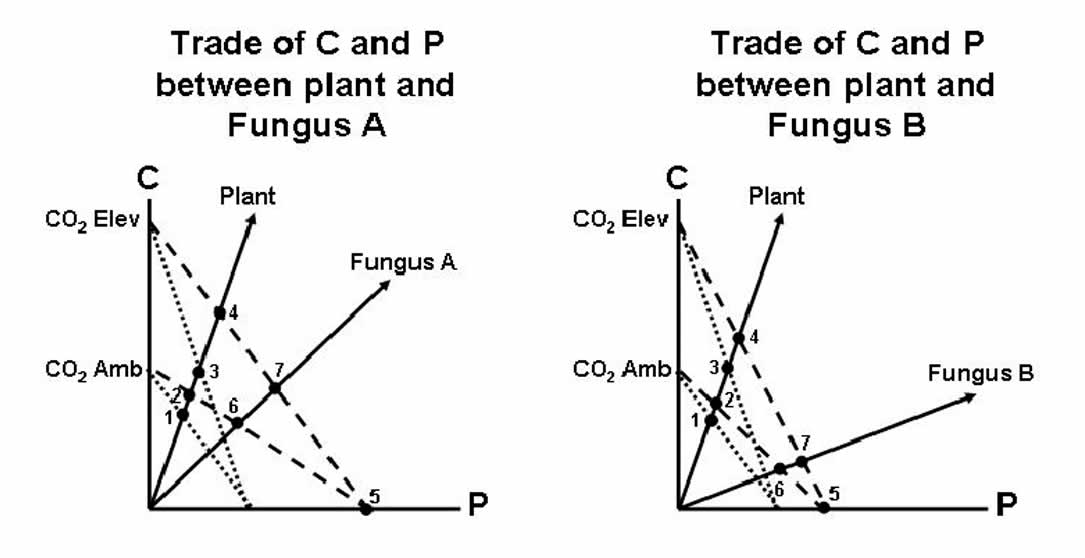 trade